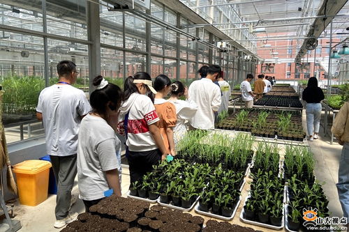 生命科學與微生物技術研究院師生深入青島清原農冠，共探農業科技前沿